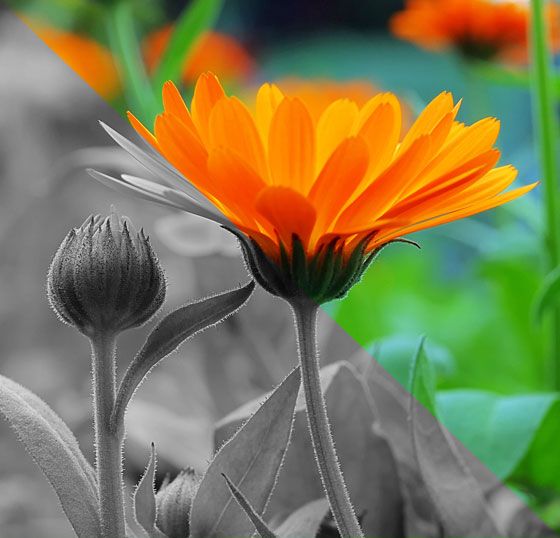 Trübe Gedanken in bunte verwandeln im Charisma Atelier bei Claudia Klag